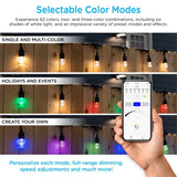 Enbrighten WiFi Seasons Color-Changing Smart LED String Lights